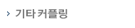 기타 커플링